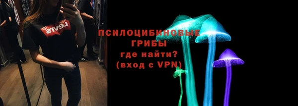 винт Алзамай