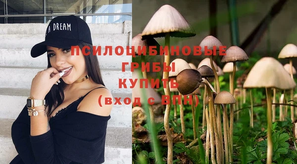 винт Алзамай