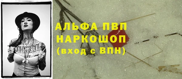 спайс Арсеньев