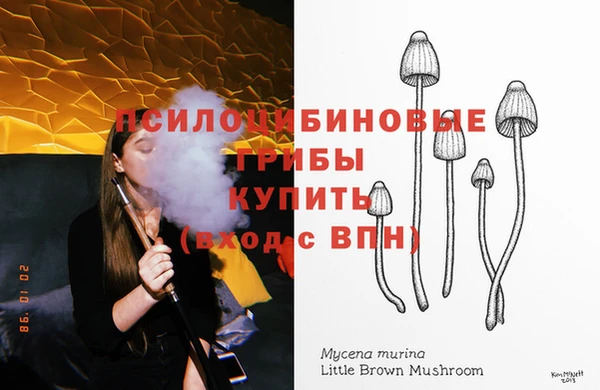 спайс Арсеньев