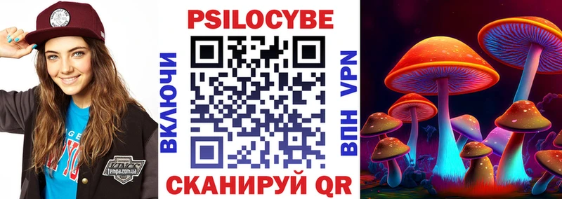 Купить закладки  Белово  Галлюциногенные грибы Psilocybe 